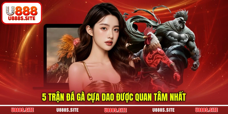 5 trận đá cựa dao được quan tâm nhất