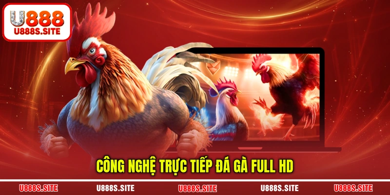 Công nghệ trực tiếp đá gà full HD